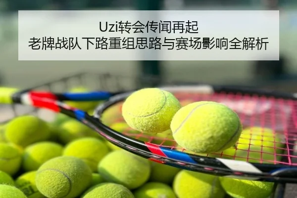 Uzi转会传闻再起 老牌战队下路重组思路与赛场影响全解析