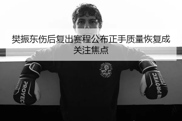 樊振东伤后复出赛程公布正手质量恢复成关注焦点